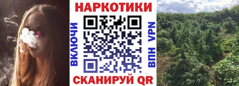 Цена Питкяранта Амфетамин  Метадон  Псилоцибиновые грибы  Гашиш  Меф мяу мяу  КОКАИН 