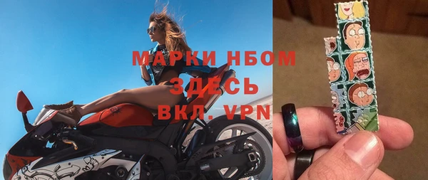 прущие грибы Липки