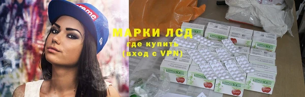 прущие грибы Липки