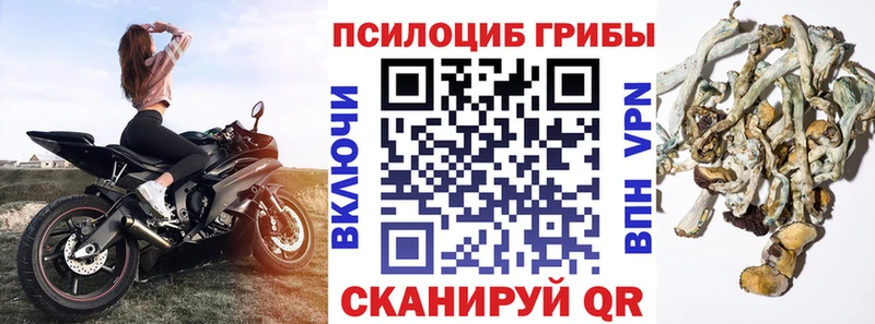 Галлюциногенные грибы прущие грибы цена Питкяранта